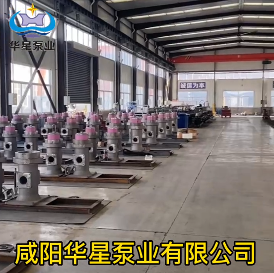 咸陽華星泵業有限公司加工中心和生產車間視頻